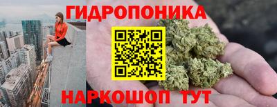 spice Тверь