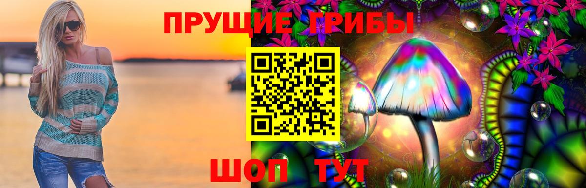 Галлюциногенные грибы MAGIC MUSHROOMS  Вход с VPN  Семёнов 